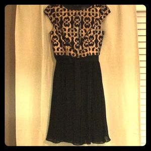 Adrianna Papell Cocktail Dress